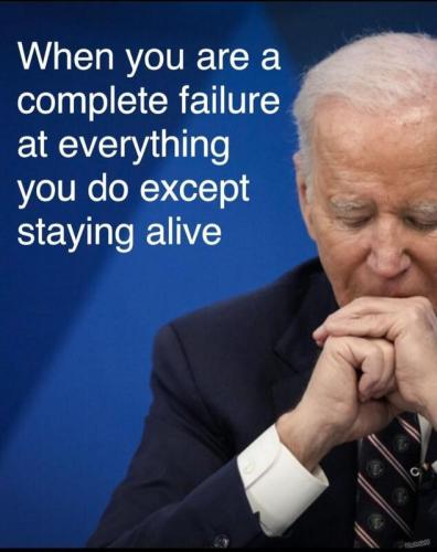 sngine_8ac88e8d822781230a85b2c4547bae98