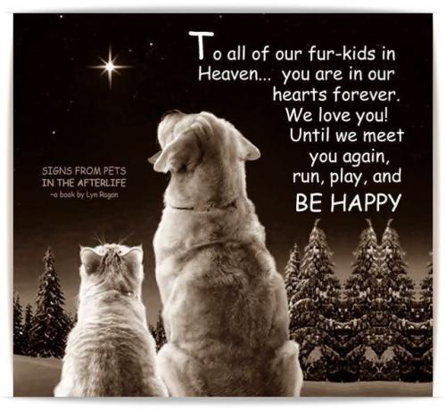 780af03be187b625620bcc6f82b2f917