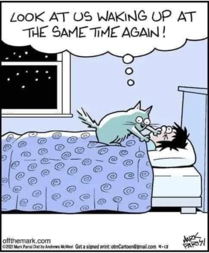 c7701dd6fe94d04bb80d4b0d861e4c3a