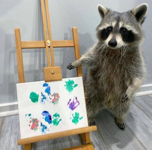 IMG_20240209_100233_863