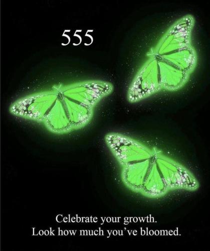 428448331_312424481825384_3612393394096013483_n