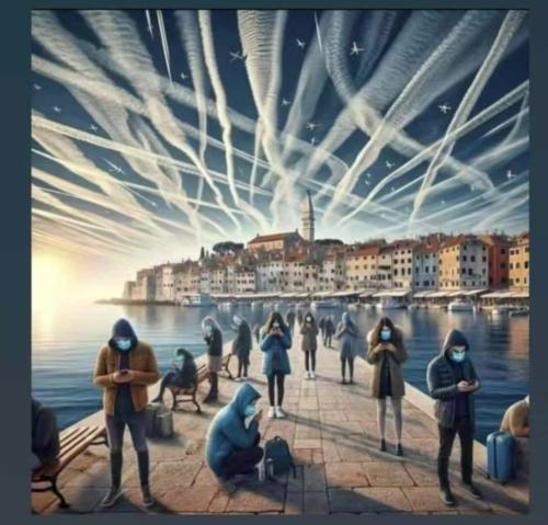 Screenshot_20240210_092437_Messenger