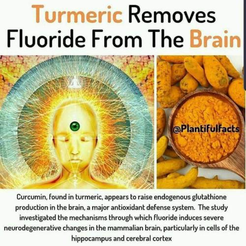 photo_2024-01-31_21-37-23