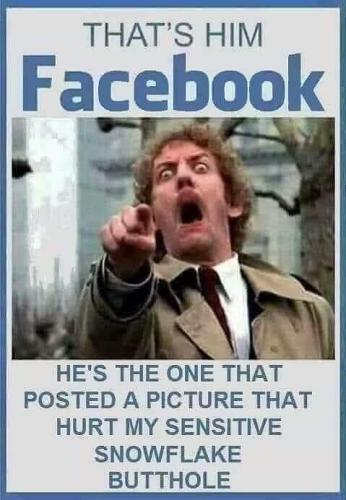 FB_IMG_1708245654485