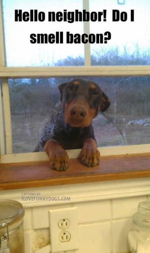 8382d7c6dbc62af4b1d7638ae04be216