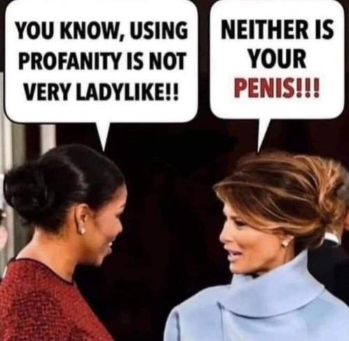 sngine_73dc35b0ae00b0e853c88ced8181abe8-1