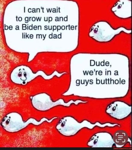 b99ca66ee552de883e25bb9cec540a9676add99490d8c3ccf9e47c8524bb526e_1