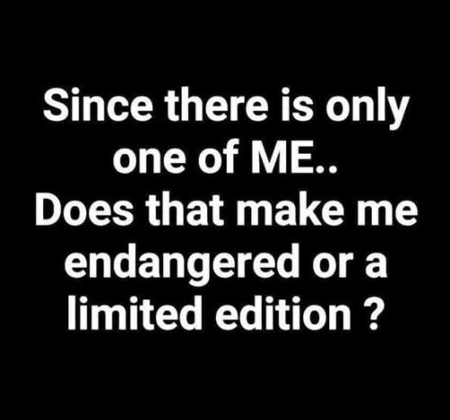 428650078_7816617725035137_7287463460720948298_n