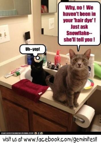 a03b679008ed3a6c83773f23506b3817