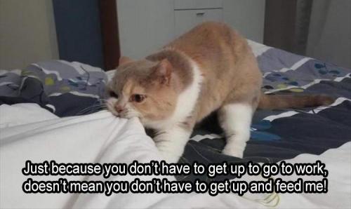 7-you-need-to-get-up-and-feed-me