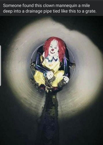 Screenshot_20240225-125032_MeWe