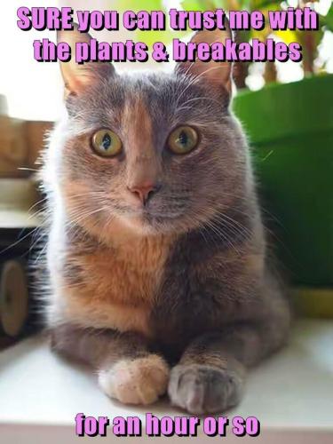 39f8da88ef1d4afa8e5f02e75d7f017f