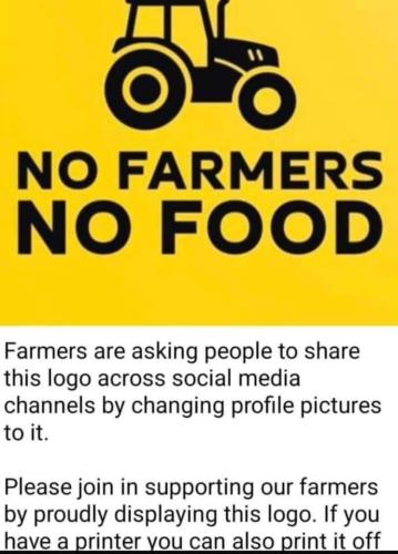 FB_IMG_1707080064805