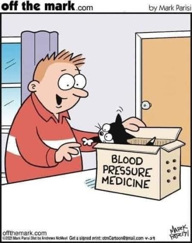 cbad739d22daf0d75ab9d3956e8d52b2