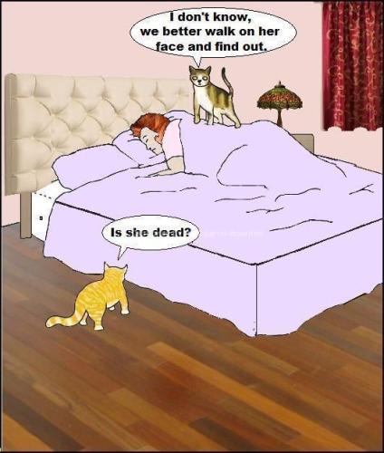 57d8c861b3abd5e03f7b6c8a90b8ccc1