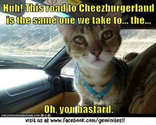 240a7d48dc7aa038780f57729beb82d7