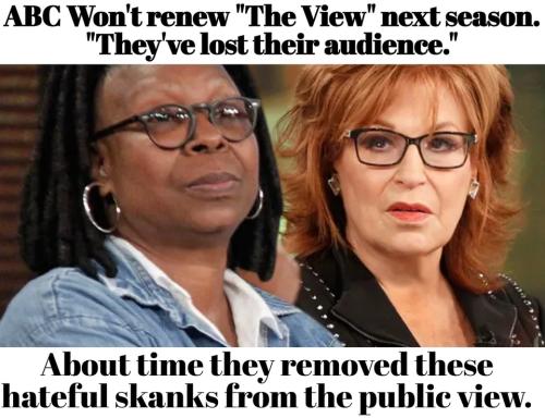 ABC Won't renew The View hateful skanks.960px