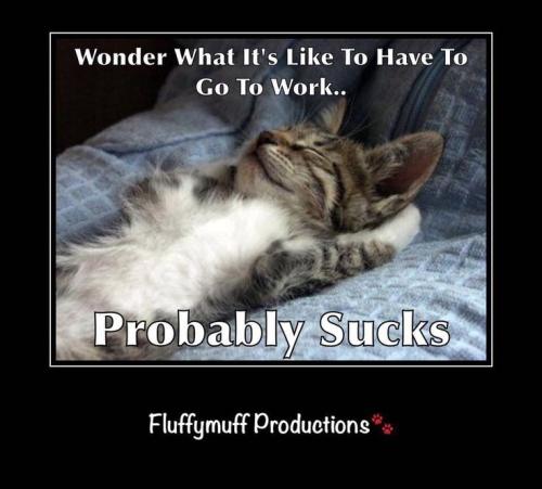 c296584729a21a38e0d530e24e678485