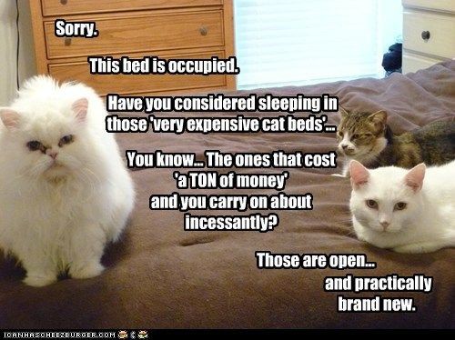 1b6e5bc130ee3dff3b0bbfda8d505d78