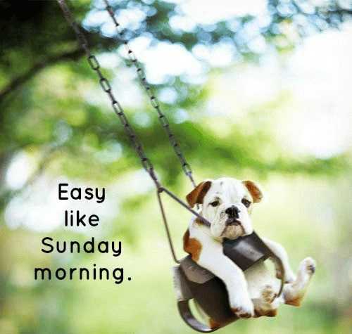 happy-sunday-meme-idlememe-2