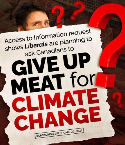 give up meat