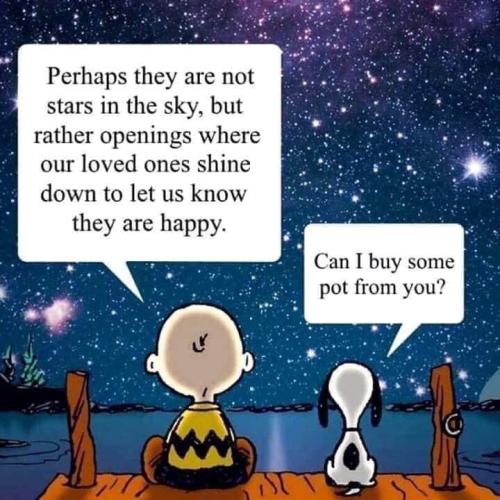 can I buy some pot from you