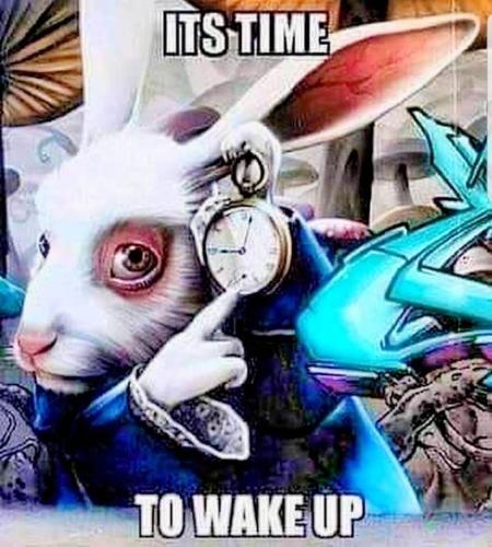 428608839_749896513775561_945540045671830735_n