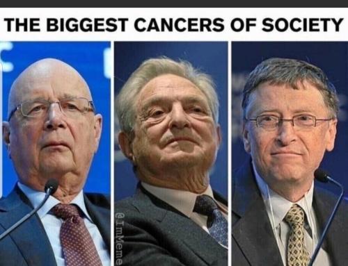 Screenshot_20240221-020309_MeWe