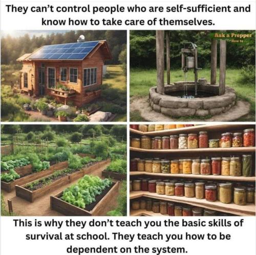 Be Self Sufficient