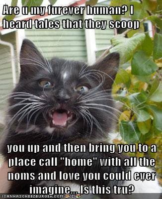 2143a6a7c251b5d9dca6e646d513328d