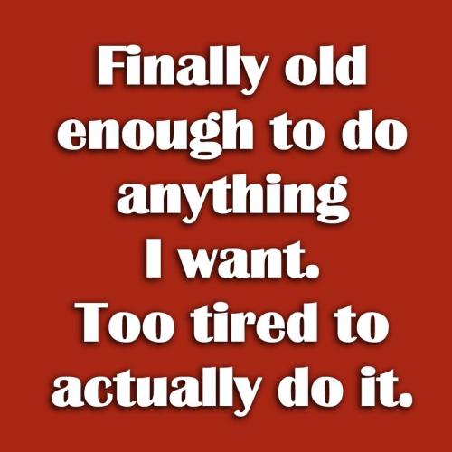 274149693_5102546146469741_3839235563230437496_n