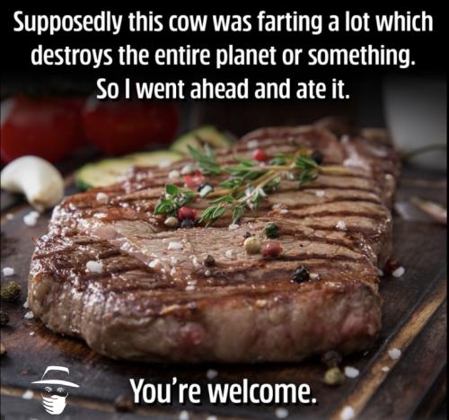 steak