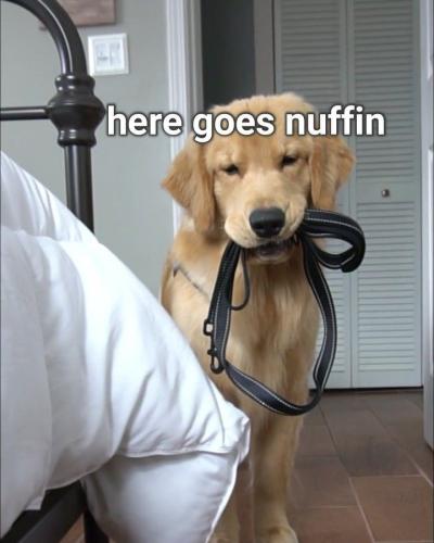 396cbf13a8b2f8f440bdd335ccd6c059