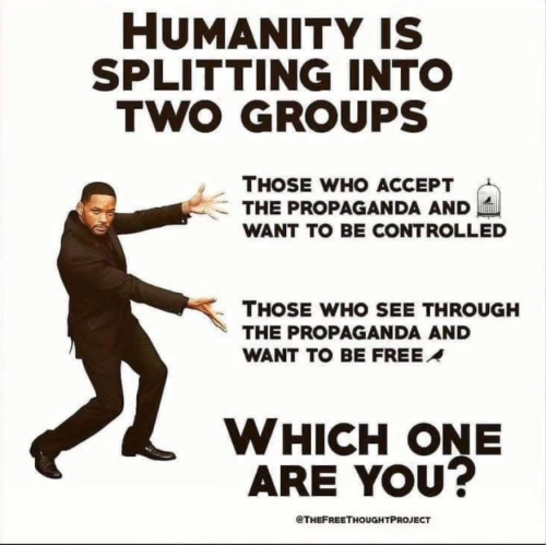 Screenshot 2024-02-12 121954