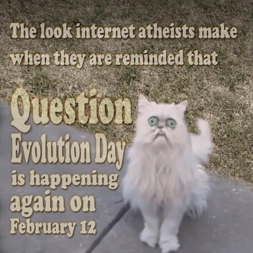 20240208_200926