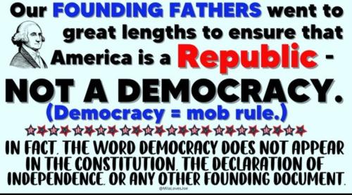 Screenshot_20240220_192222_X