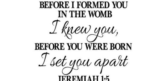 PROLIFE JEREMIAH 777
