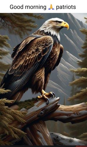 03acc7ce36af65330ee5cec8066dc6f33c1330f2c782db267e63319c7f6fa2b0_1