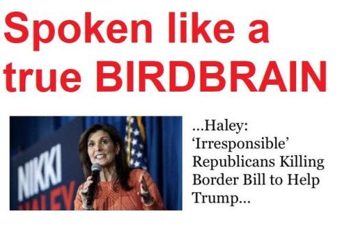 sngine_bce4ad34734f675e8d4f5f480099b557