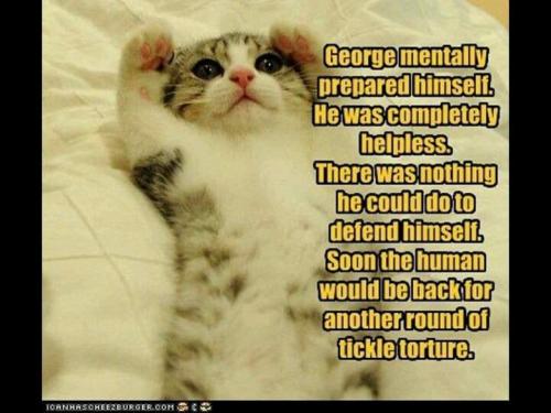 e40c60919b760635f9002587632256ee