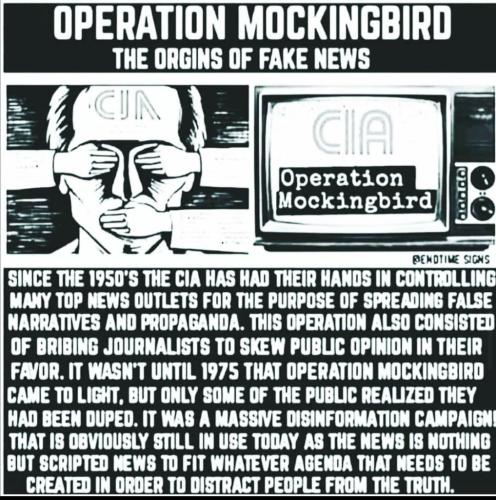 mockingbird