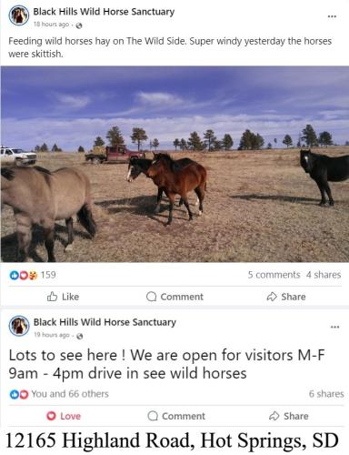 Black Hills Wild Horse Sanctuary Hours