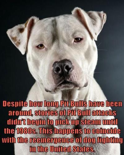 ec135312fd925e25112874452feae47b