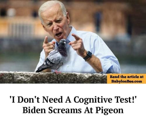 FB_IMG_1707922784624