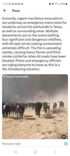 Screenshot_20240228_131220_X