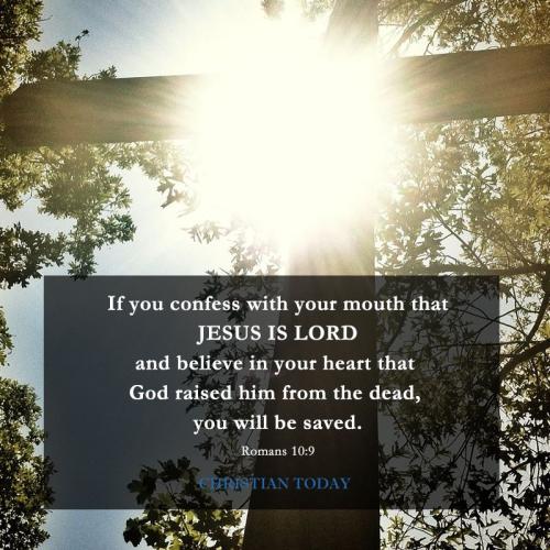 12742257_10154026525239916_5413409062448158092_n