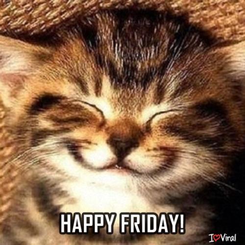 356773cd8acf657c8c8fc415282f1443