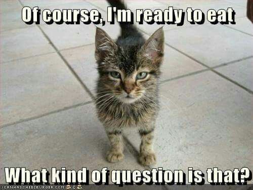 633329be19766791ffa101d084a54318