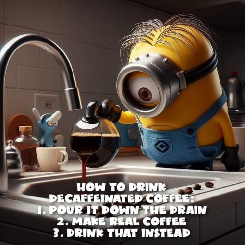 FB_IMG_1708539418337