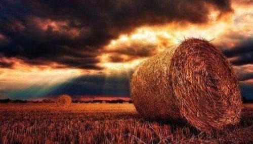 8dddcfb5-a127-4f0c-8f65-a95cc421ceb1